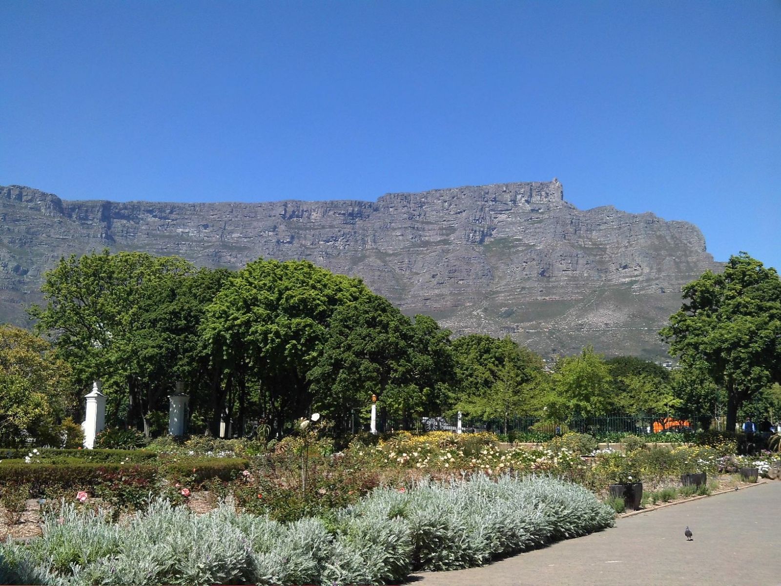 Table Mountain